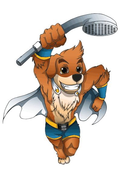ProDogwash